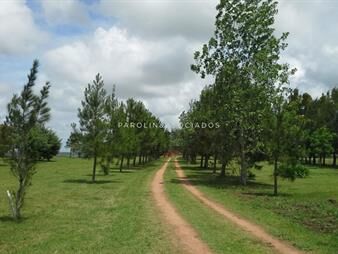 https://www.gallito.com.uy/chacra-en-venta-de-2-dormitorios-en-manantiales-punta-del-inmuebles-26118243