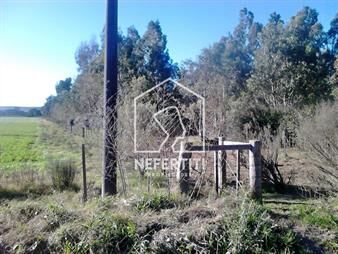 https://www.gallito.com.uy/venta-campo-3-hectareas-en-zona-de-atlantida-inmuebles-26122223
