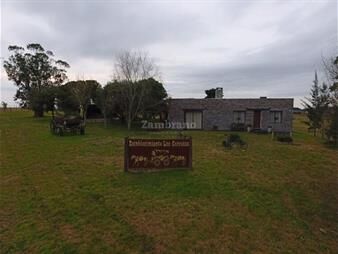 https://www.gallito.com.uy/chacra-5-ha-san-jacinto-inmuebles-26122399