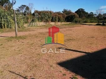 https://web5.gallito.com.uy/impecable-terreno-para-inversionistas-inmuebles-21962555