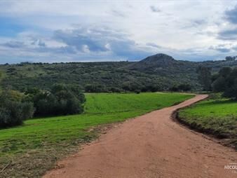 https://web5.gallito.com.uy/chacra-de-5-has-rodeada-de-hermosas-vistas-a-las-sierras-inmuebles-25042573