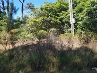 https://www.gallito.com.uy/terreno-en-punta-ballena-portezuelo-bosque-inmuebles-26156029