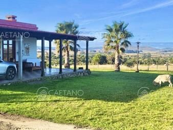 https://www.gallito.com.uy/venta-campo-14hs-en-pueblo-eden-con-opcion-a-anexar-86has-inmuebles-26085053