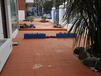 https://web5.gallito.com.uy/casa-maldonado-inmuebles-26172924