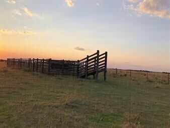 https://www.gallito.com.uy/campo-forestal-ganadero-i-tacuarembo-i-360-ha-ic-60-inmuebles-26174168
