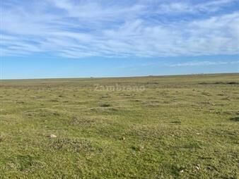 https://web5.gallito.com.uy/campo-ganadero-l-tacuarembo-i-985-ha-ic-43-inmuebles-26181258