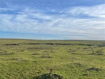 https://www.gallito.com.uy/campo-ganadero-l-tacuarembo-i-1050-ha-ic-70-inmuebles-26181293