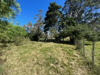 https://web5.gallito.com.uy/campo-5-has-con-2473-m2-sobre-ruta-9-inmuebles-22909921