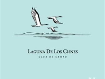 https://www.gallito.com.uy/espectacular-terreno-en-laguna-de-los-cisnes-inmuebles-26221727