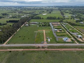 https://www.gallito.com.uy/camino-eguzquiza-lote-inmuebles-26228553