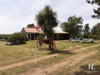 https://www.gallito.com.uy/chacra-de-8-hectareas-en-maldonado-inmuebles-25042431