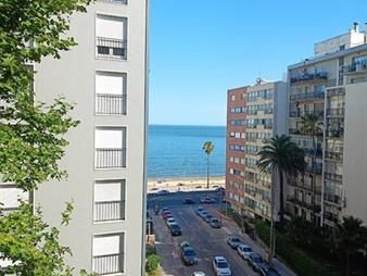 https://web5.gallito.com.uy/apartamento-a-metros-de-la-rambla-de-pocitos-3-dormitori-inmuebles-23023659