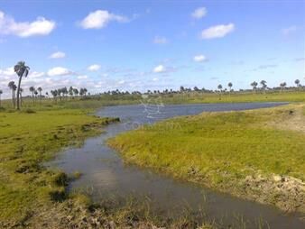 https://www.gallito.com.uy/campo-en-paraje-aguas-dulces-inmuebles-26246470