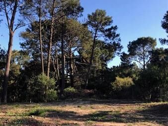 https://www.gallito.com.uy/terreno-en-club-del-lago-1471-m2-inmuebles-26242349