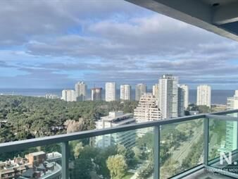 https://web5.gallito.com.uy/apartamento-de-1-dormitorio-en-edifico-gala-vista-punta-d-inmuebles-26254346
