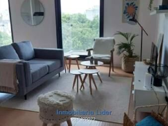 https://web5.gallito.com.uy/apartamento-de-4-dormitorios-con-renta-inmuebles-26256858
