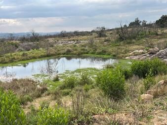https://www.gallito.com.uy/vende-chacra-en-pueblo-eden-de-5-has-inmuebles-26273448