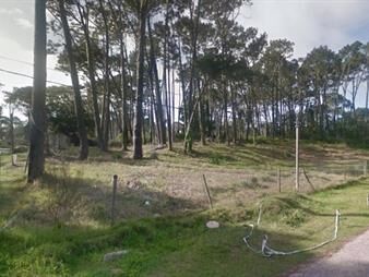 https://web5.gallito.com.uy/terreno-en-punta-del-este-inmuebles-26280894