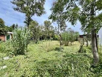 https://www.gallito.com.uy/terreno-en-venta-el-tesoro-inmuebles-25026346