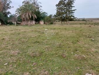 https://www.gallito.com.uy/114-has-9201-m2-en-paraje-jose-ignacio-inmuebles-23946942