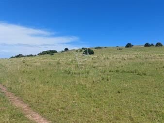 https://www.gallito.com.uy/campo-en-aigua-inmuebles-24937075