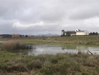https://web5.gallito.com.uy/campo-5-has-cerca-ruta-12-consulte-inmuebles-26284707