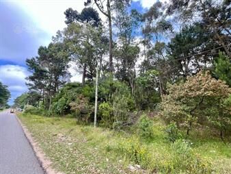 https://web5.gallito.com.uy/venta-terreno-en-burnett-maldonado-1300m2-inmuebles-26284953