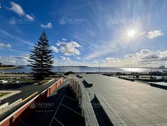 https://web5.gallito.com.uy/venta-apartamento-vista-playa-mansa-punta-del-este-inmuebles-25494973