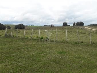 https://web5.gallito.com.uy/campo-de-21-has-con-6010-m2-en-paraje-jose-ignacio-inmuebles-22910062