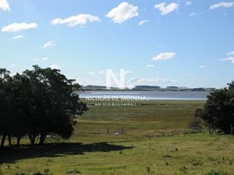 https://www.gallito.com.uy/vende-chacra-en-laguna-garzon-inmuebles-26301465