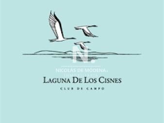 https://web5.gallito.com.uy/gran-superficie-de-terreno-en-laguna-de-los-cisnes-inmuebles-26315992