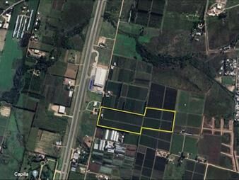 https://www.gallito.com.uy/terreno-9-hectareas-ruta-5-km-22-inmuebles-26325392