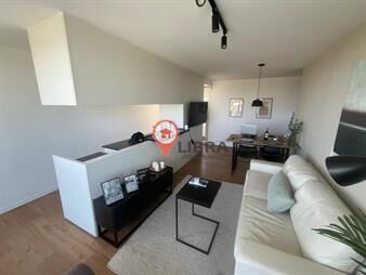 https://web5.gallito.com.uy/venta-apartamento-a-nuevo-2-dormitorios-terraza-centro-inmuebles-26168961