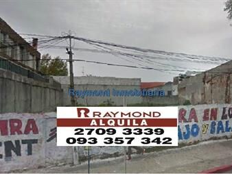 https://web5.gallito.com.uy/alquiler-terreno-505-m2-en-union-inmuebles-24506760
