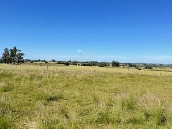 https://www.gallito.com.uy/campo-en-san-carlos-inmuebles-26302521