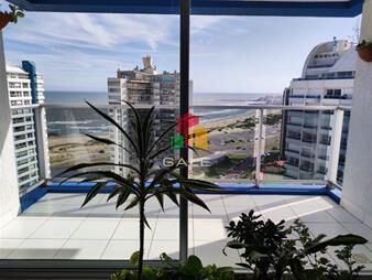 https://web5.gallito.com.uy/venta-de-apartamento-de-2-dormitorios-en-la-brava-punta-del-inmuebles-26385603