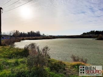 https://web5.gallito.com.uy/campo-de-casi-20-has-en-venta-en-sosa-diaz-canelones-inmuebles-24233283