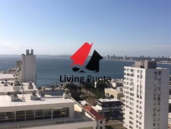https://web5.gallito.com.uy/alquiler-apartamento-en-peninsula-inmuebles-26427613