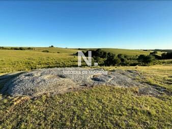 https://web5.gallito.com.uy/vende-campo-de-42-has-en-maldonado-garzon-inmuebles-26449161