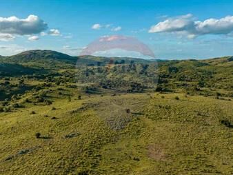 https://www.gallito.com.uy/venta-campo-ganadero-turistico-490-has-maldonado-inmuebles-26483832