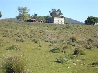 https://www.gallito.com.uy/campo-98-has-con-2891-m2-en-carape-cuenta-con-costa-de-arro-inmuebles-22908286