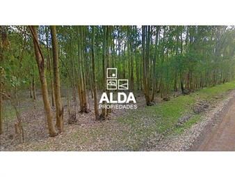 https://www.gallito.com.uy/terreno-en-bella-vista-ref-te300841-inmuebles-20626557
