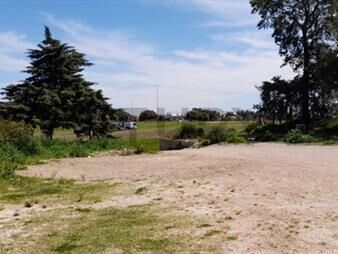 https://web5.gallito.com.uy/terreno-1500-m2-casa-2-dormigalpontodo-emprendimiento-inmuebles-26386289
