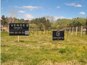 https://web5.gallito.com.uy/espectacular-terreno-456-m2-piriapolis-barrio-tierra-c-inmuebles-26386313