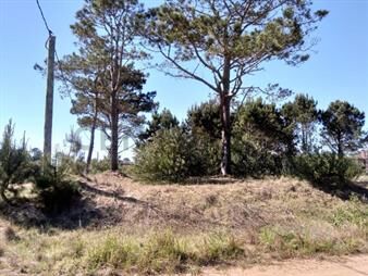 https://web5.gallito.com.uy/espectacular-terreno-en-punta-del-diablo-la-viuda-1200-m2-inmuebles-26386624
