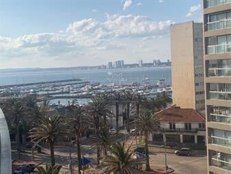https://web5.gallito.com.uy/apartamento-en-peninsula-1-dormitorio-con-garage-inmuebles-23678720