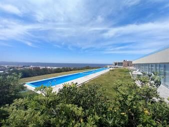https://www.gallito.com.uy/punta-ballena-piscina-exclusiva-y-vista-panoramica-inmuebles-24547714