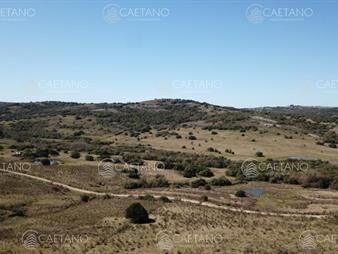 https://web5.gallito.com.uy/venta-chacras-5-has-sierra-de-los-caracoles-inmuebles-24590798