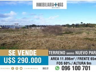 https://web5.gallito.com.uy/terreno-1-hectarea-orticochea-y-millan-nuevo-paris-l-inmuebles-25801105