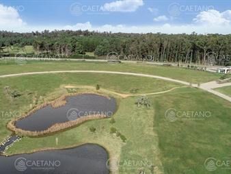 https://www.gallito.com.uy/venta-terrenos-zona-casas-caracoles-ciudad-jardin-inmuebles-25944485